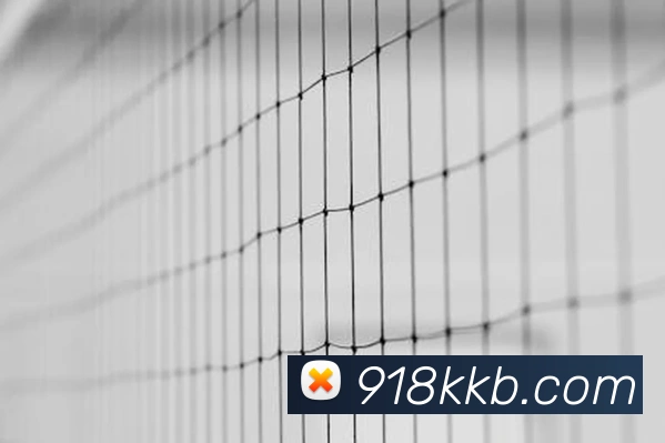 奖项证书